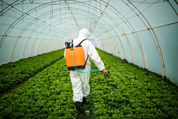 Best Pest Prevention Services  in Chesaning, MI