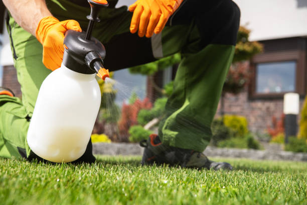 Best Exterminator Services  in Chesaning, MI