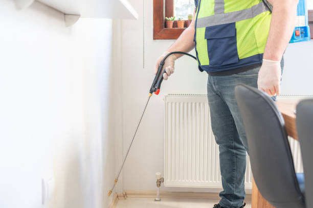 Best Termite Control Services  in Chesaning, MI