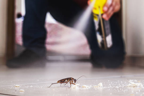 Best Affordable Pest Control Services  in Chesaning, MI