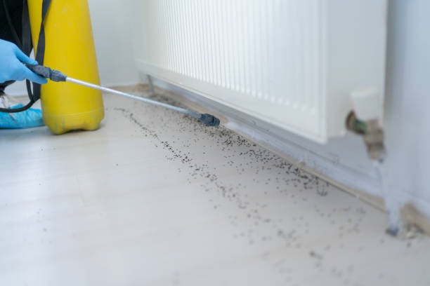 Pest Control Cost in Chesaning, MI