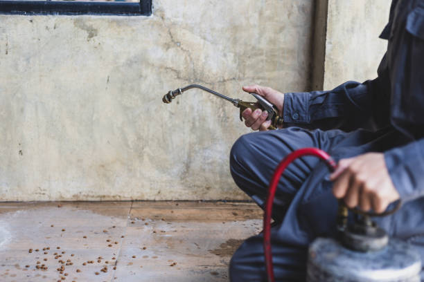 Best Commercial Pest Control Services  in Chesaning, MI
