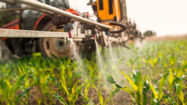 Best Wildlife Control Services  in Chesaning, MI