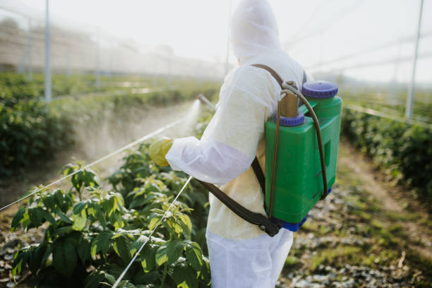 Best Mosquito Control Services  in Chesaning, MI